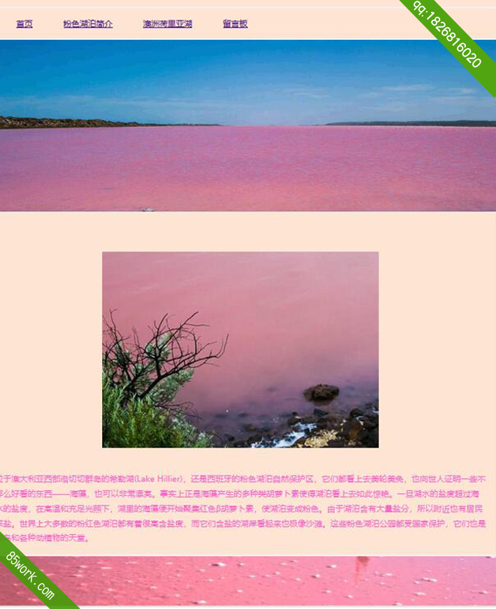 学生网页设计作业粉色湖泊旅游主题网页成品子页粉色湖泊简介