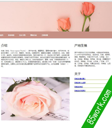 玫瑰花介绍网页设计作业成品