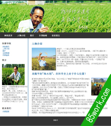 html5袁隆平网页设计作业成品