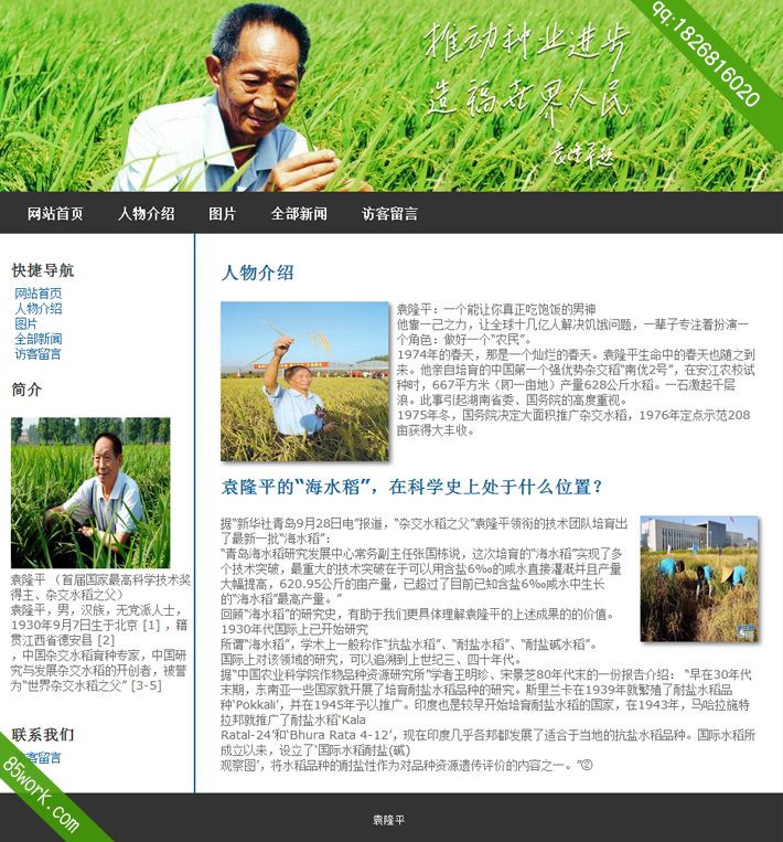 学生网页设计作业袁隆平html5网页设计作业成品首页