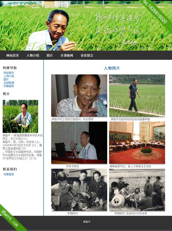学生网页设计作业袁隆平html5网页设计作业成品子页图片