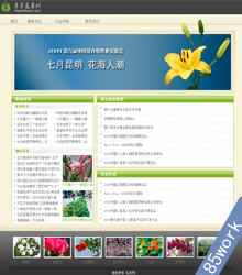 ѧҳҵƷdiv css