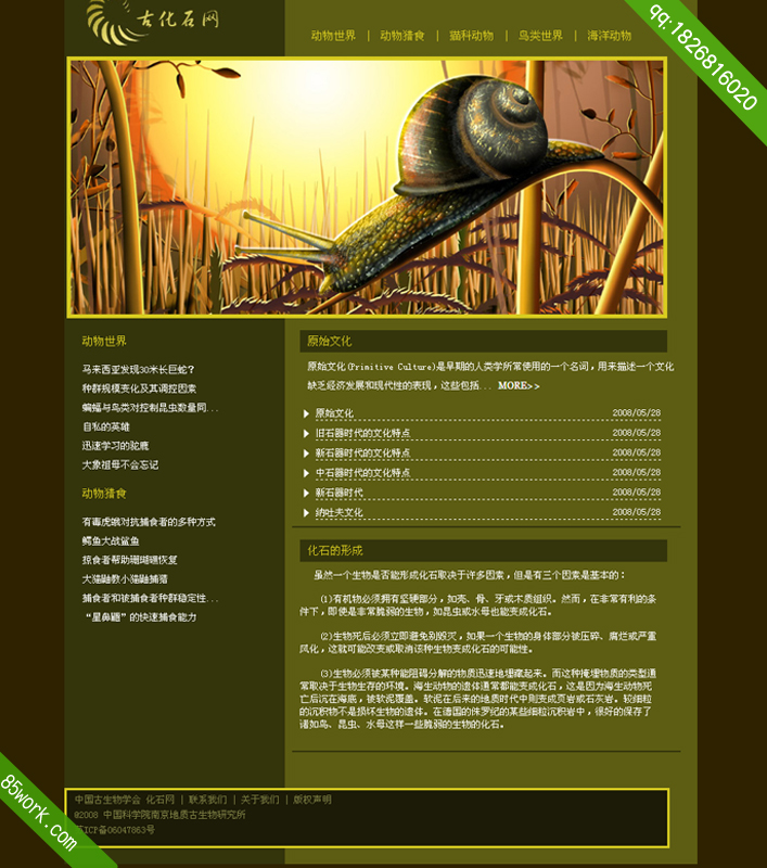 大学生网页设计作业成品