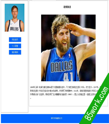nba篮球巨星诺维斯基网页设计作业成品