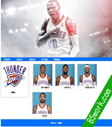 asp.net+access̬վҵNBA