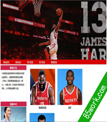 asp.net c# sql篮球NBA火箭队动态网站设计制作作业