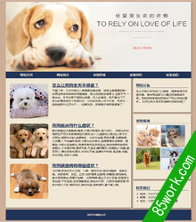 H5宠物网页设计作业成品