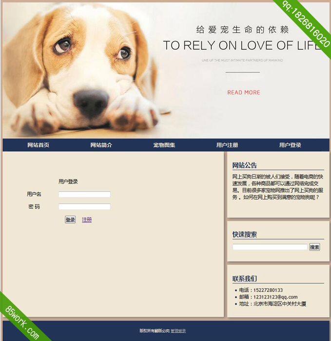 php mysql宠物动态网站设计作业