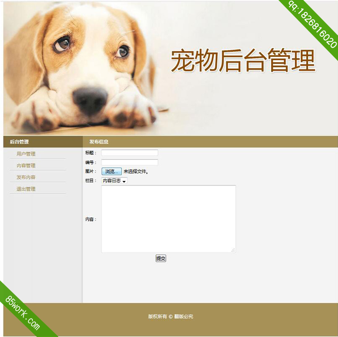 php mysql宠物大学生动态网页设计作业