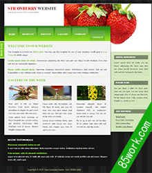 草莓简洁网页设计作业